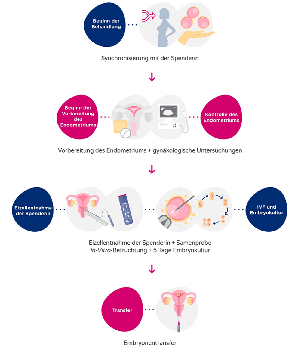 egg-donation-grap1