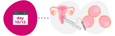 vitrificacion-ovulos-fase-2-en